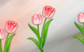 Tulip Desktop Wallpaper 32012