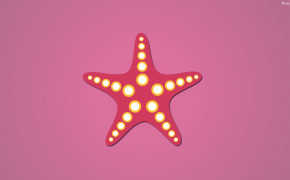 Starfish HD Wallpaper 31942