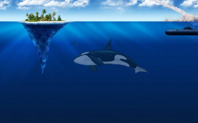 Whale HD Background Wallpaper 32057