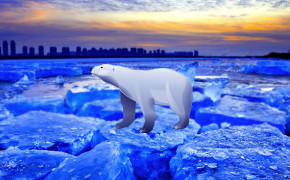Polar Bear HD Desktop Wallpaper 31731