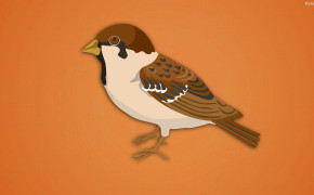 Sparrow Wallpaper 31921