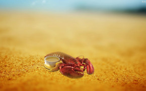 Lobster HD Desktop Wallpaper 31572