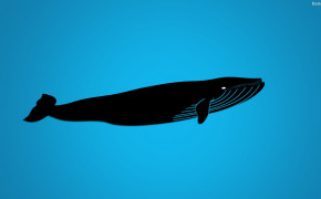 Whale Best HD Wallpaper 32054