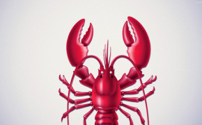 Lobster Wallpaper 31575