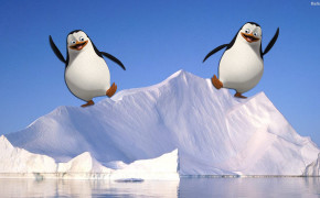 Penguin Desktop Wallpaper 31698