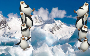 Penguin Background Wallpaper 31696