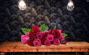 Rose Wallpaper HD 31809