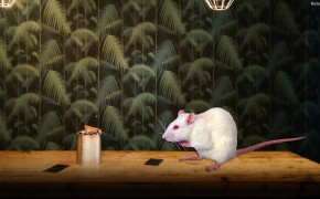 Rat Mouse Wallpaper 31783