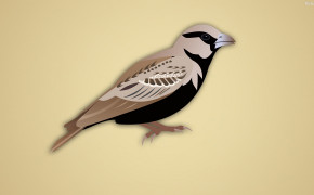 Sparrow Background Wallpaper 31912