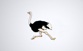 Ostrich Background Wallpaper 31620