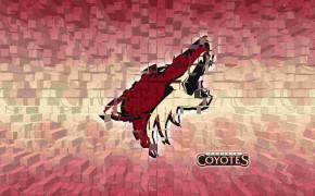 Arizona Coyotes High Definition Wallpapers 32124