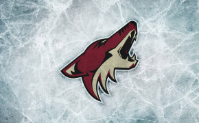 Arizona Coyotes HD Background Wallpapers 32122