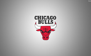 Chicago Bulls High Definition Wallpaper 33439