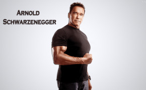 Arnold Schwarzenegger HD Desktop Wallpaper 32890