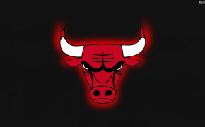 Chicago Bulls Background Wallpaper 33432