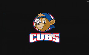 Chicago Cubs Widescreen Wallpapers 33021