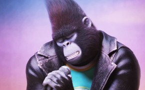 Johnny Gorilla In Sing 03176