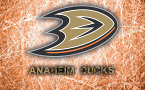 Anaheim Ducks Background HQ Wallpaper 32108
