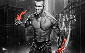 Randy Orton HQ Background Wallpapers 32732