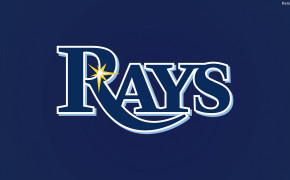 Tampa Bay Rays Best Wallpaper 33341