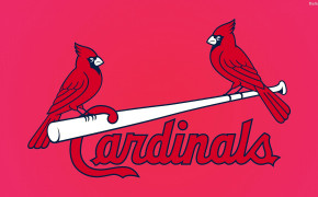 St Louis Cardinals Best Wallpaper 33333