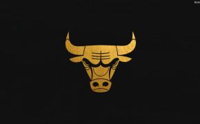Chicago Bulls Desktop Wallpaper 33435