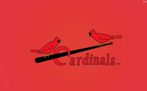 St Louis Cardinals Widescreen Wallpapers 33339