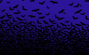 Bat Moon Desktop HD Wallpapers 32186