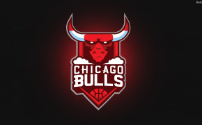 Chicago Bulls Widescreen Wallpapers 33442