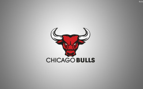 Chicago Bulls Best HD Wallpaper 33433
