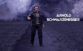 Arnold Schwarzenegger High Definition Wallpaper 32891