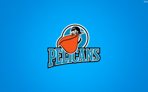 New Orleans Pelicans High Definition Wallpaper 33570