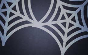 Halloween Spider Web Widescreen Wallpapers 34790