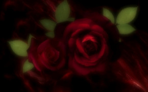 Burgundy Rose Desktop Wallpaper 34489