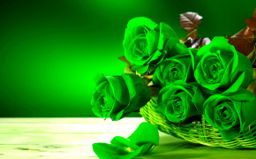 Green Rose HD Background Wallpaper 34619