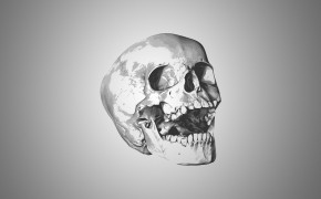 Halloween Skull Best HD Wallpaper 34760