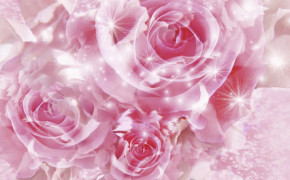Pink Rose Desktop Widescreen Wallpaper 35002