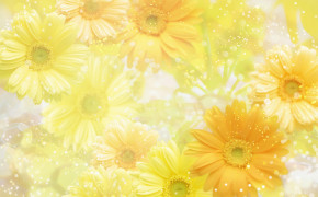 Yellow Background HD Photos 03574
