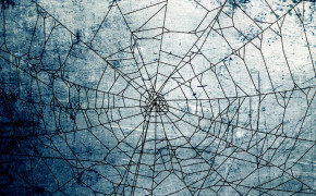 Halloween Spider Web Background HD Wallpapers 34774