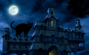 Halloween Black Cat HD Desktop Wallpaper 34676