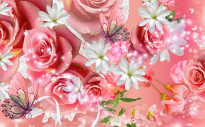 Pink Rose Background HD Wallpapers 34995