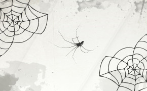 Halloween Spider Web Desktop Widescreen Wallpaper 34781