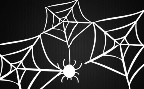 Halloween Spider Web HD Desktop Wallpaper 34783