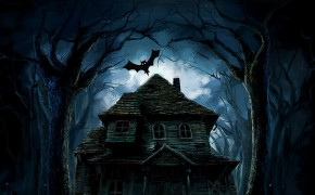 Halloween Bat Background HQ Wallpaper 34252