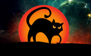 Halloween Black Cat Desktop HD Wallpaper 34672