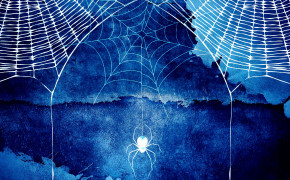 Halloween Spider Web HD Background Wallpaper 34782