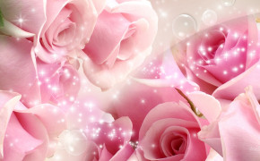 Pink Rose Desktop HD Wallpaper 35000