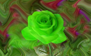 Green Rose Desktop HD Wallpaper 34616