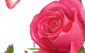 Pink Rose Desktop Wallpaper 35001