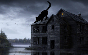Halloween Black Cat Desktop Widescreen Wallpaper 34674
